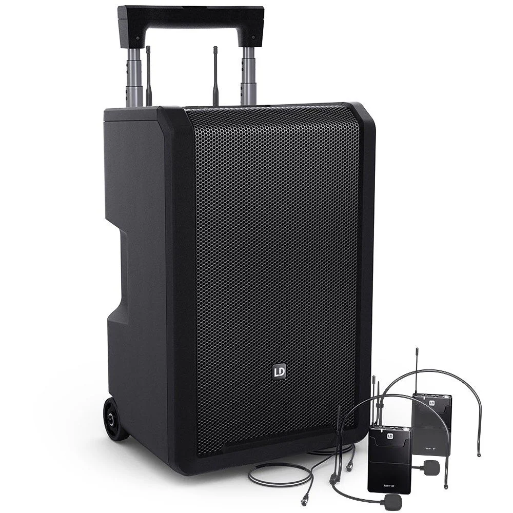 LD Systems ANNY10 Wireless Pack w/ 2x Headsets Mics & Body Packs (655-679 MHz)